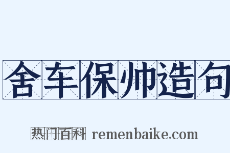 舍车保帅造句是什么意思的图片